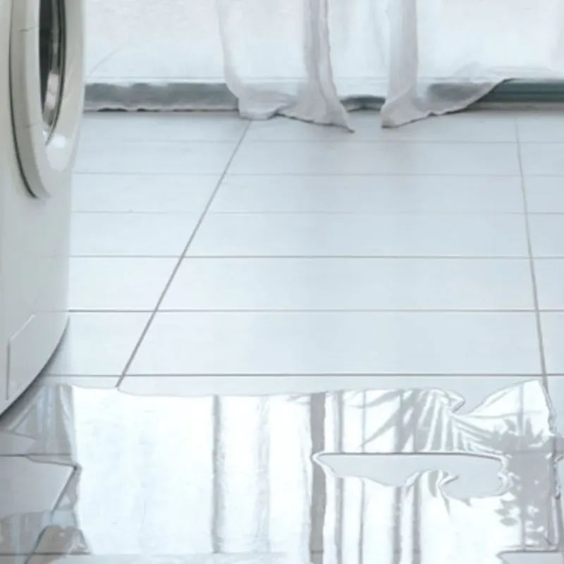 Appliance Leak Cleanup in Northcrest, TX