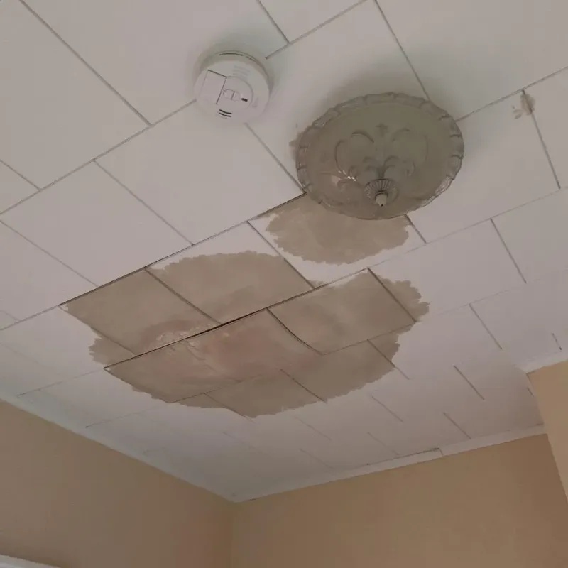 Ceiling Water Damage Repair in Northcrest, TX