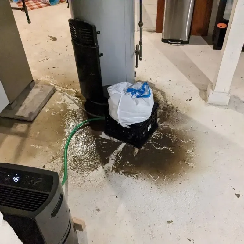 Sewage Backup Cleanup Service in Northcrest, TX